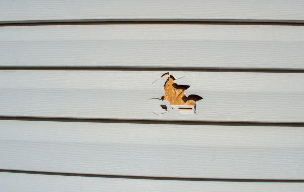 Siding Hole Repair in Glen Burnie